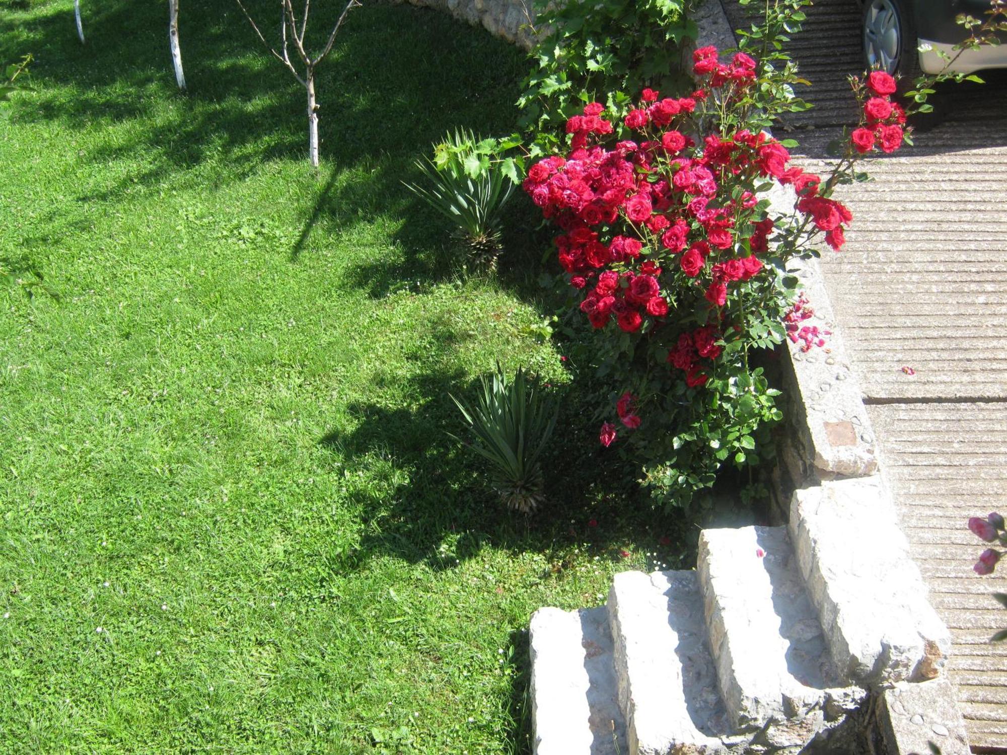 Risto'S Guest House Elshani Exterior foto