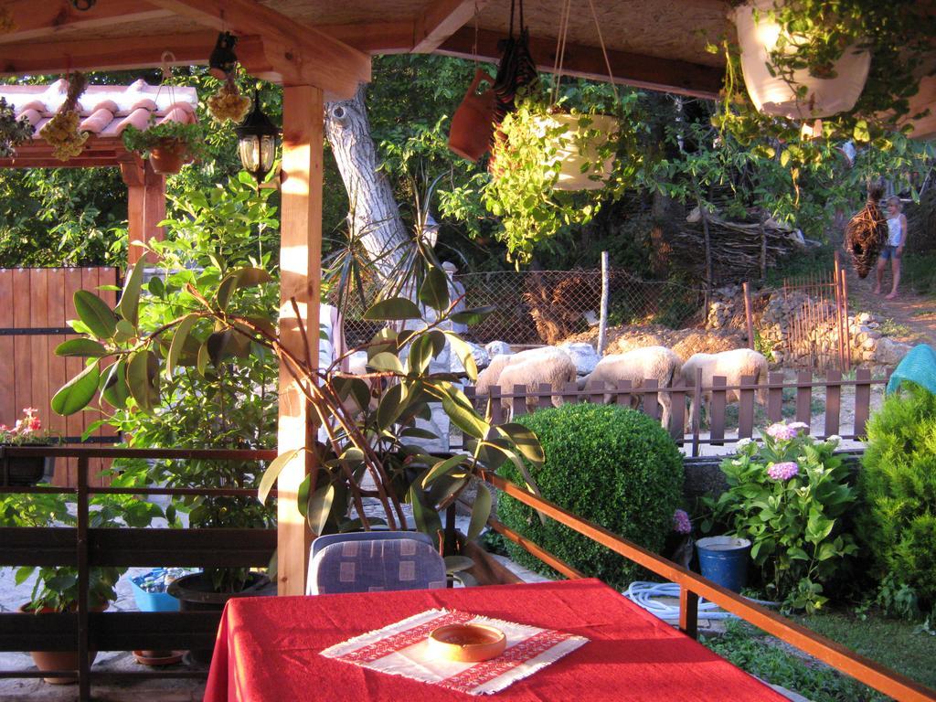 Risto'S Guest House Elshani Exterior foto