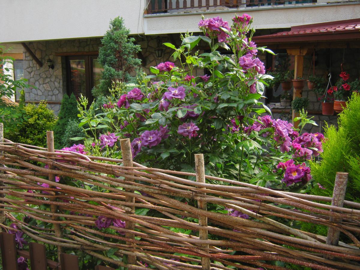Risto'S Guest House Elshani Exterior foto